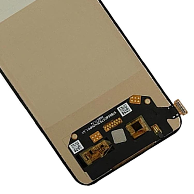 RPS0636_4.jpg@11d4c487be6172ecead7ff8d2c585f47