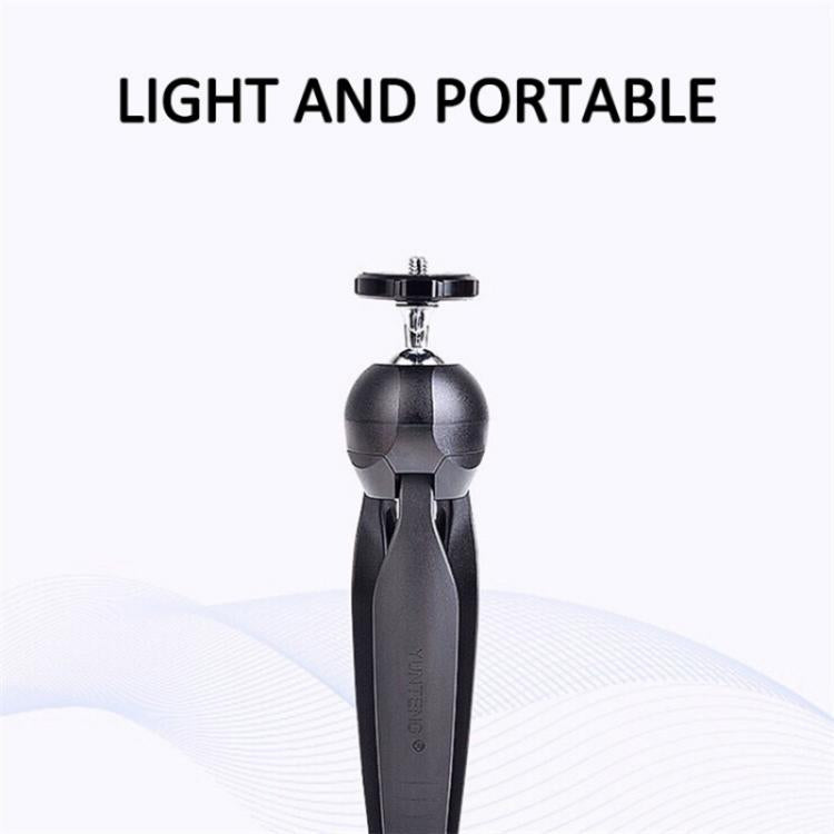 SYA0028463_3.jpg@98c2c7e010fba7172f56b8bf034669dc