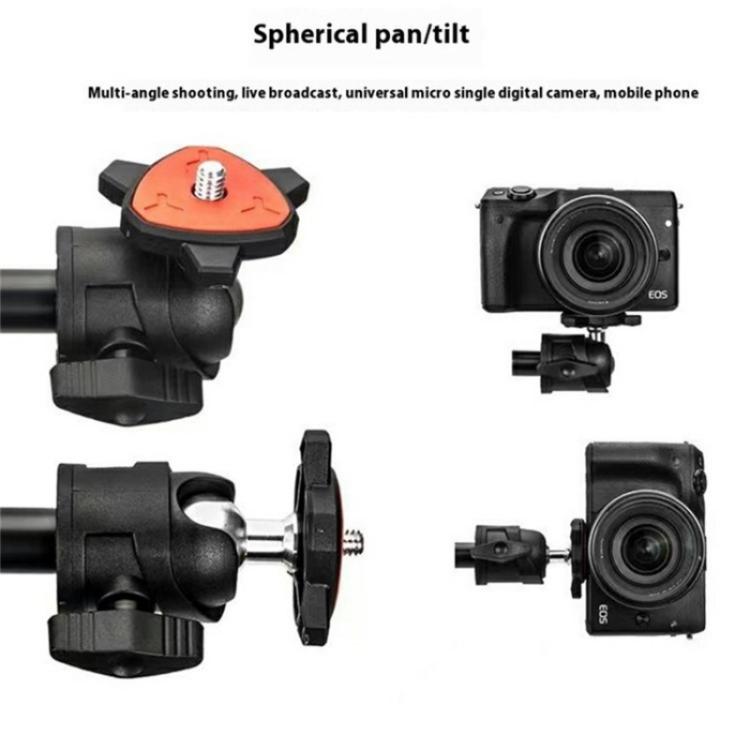 SYA0028707_3.jpg@2cd250acd991ab43c039bb87703557ec