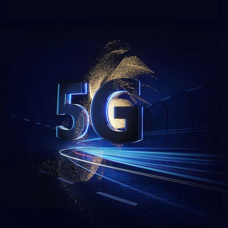 SYA0030581_5.jpg@ff115168523b8bcdca5b8ca60b882ba8