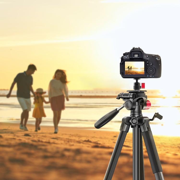 SYA0031720_B5.jpg@c69462d0bd5260e54e12a3c638612a03