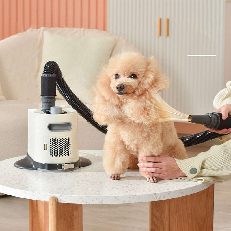 2000W Dog Grooming Dryer Pet Hair Dryer Dog Cat Grooming Water Blower Warm Wind Adjustable Blow-dryer For Small Medium Large Dog