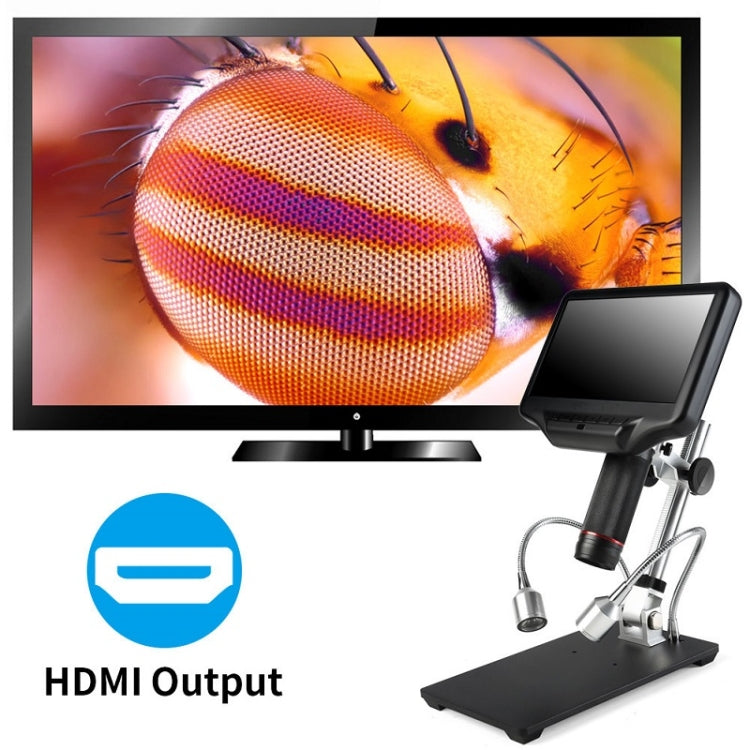 TBD0565570201_B8.jpg@3ffa06f7b83182ad20360fb07e8e2db4