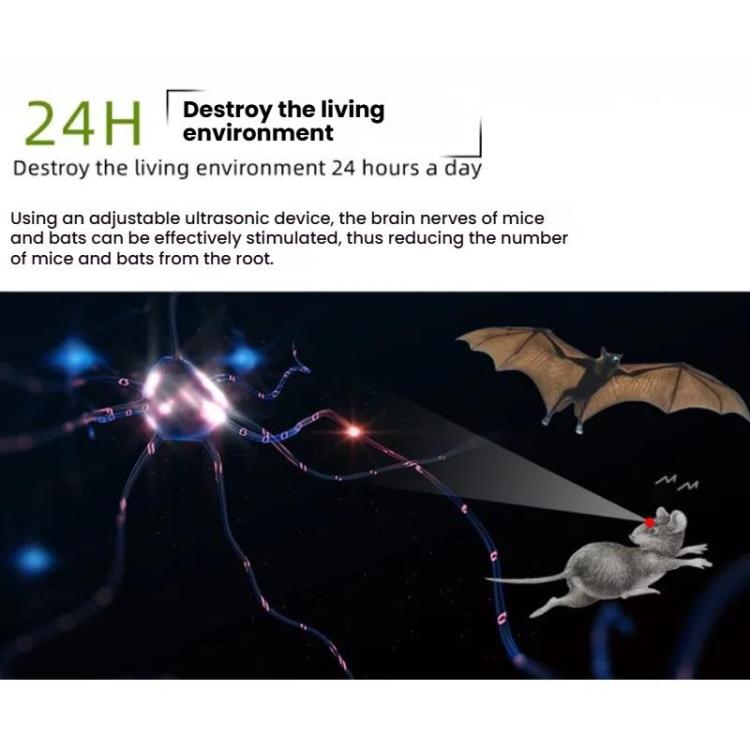 TBD06018981_B6.jpg@a19e4e42474a475f304d71621ef99b2d