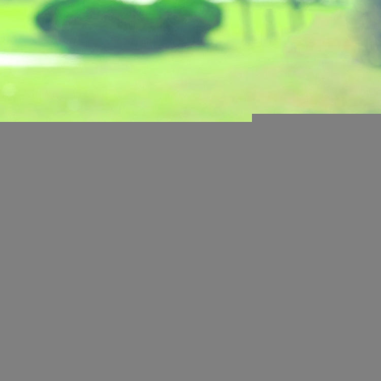 TBD0603399004.jpg@92124442570118e2fc5f939e0b8fe704