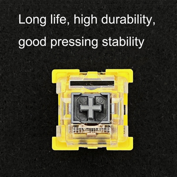 TBD06038333_B1.jpg@f05a28797c6f5951db0f904454c79ab9