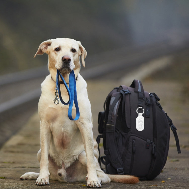 TBD06044685_B7.jpg@4aff8e0f6e2032472c57da3510eff776