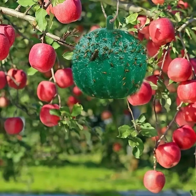 TBD06050213_B3.jpg@969c297900839c2edfe6ec0a84a56550