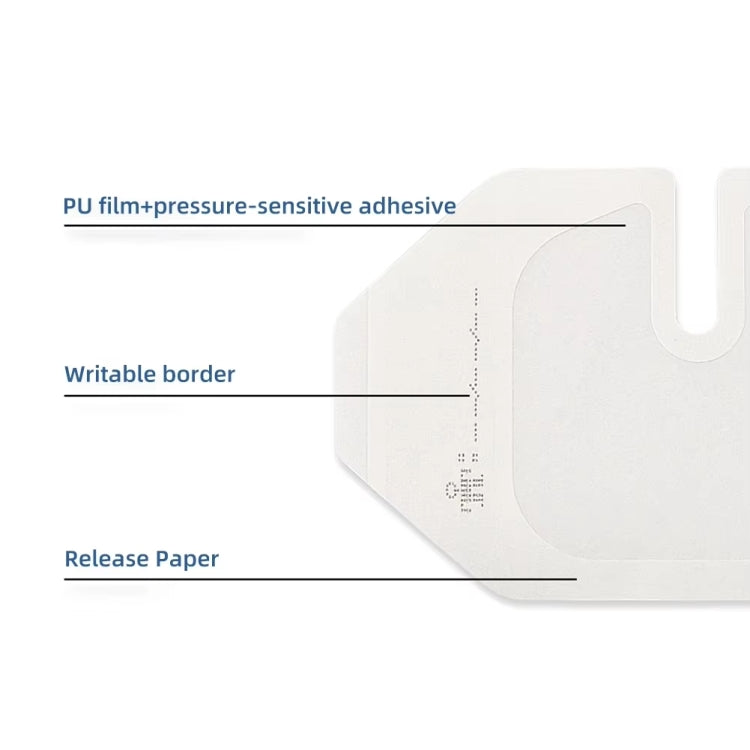 TBD06056002_B5.jpg@321d1e5f1e682062c5d92633e4848e15