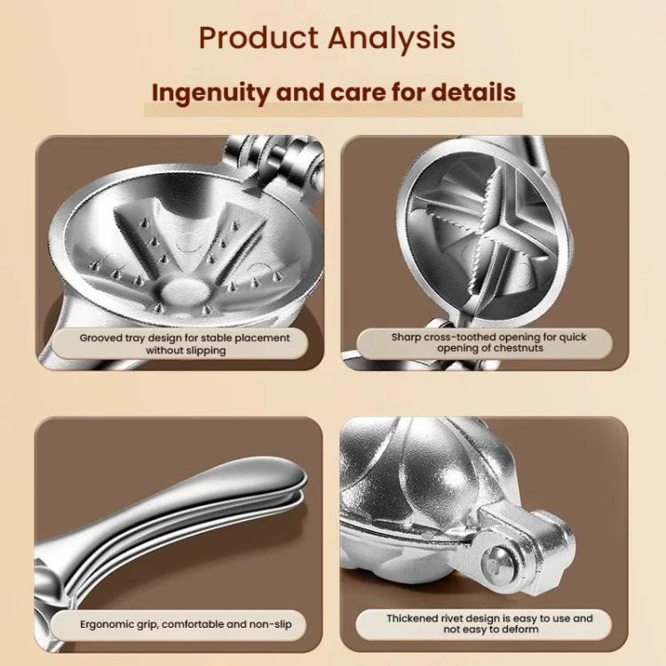 TBD06056986_B6.jpg@44ab776deae20553527a2a79e2dba67d