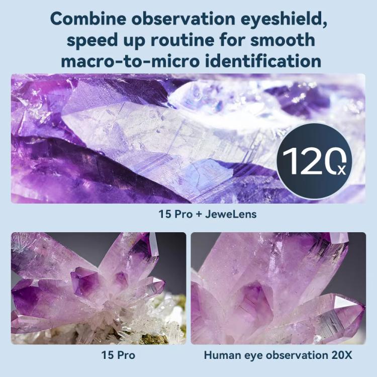 TBD06057097_B7.jpg@a85671fc03c9ef1e3ea1445cc94d41fc