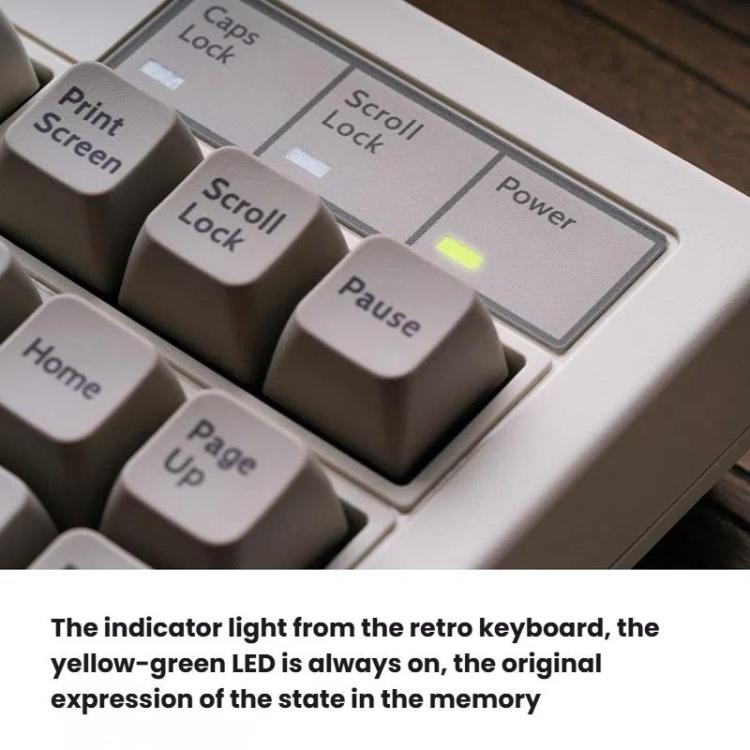 TBD06057693_B4.jpg@8d4b525bd8ae4c184b048fc2ea0edfe6