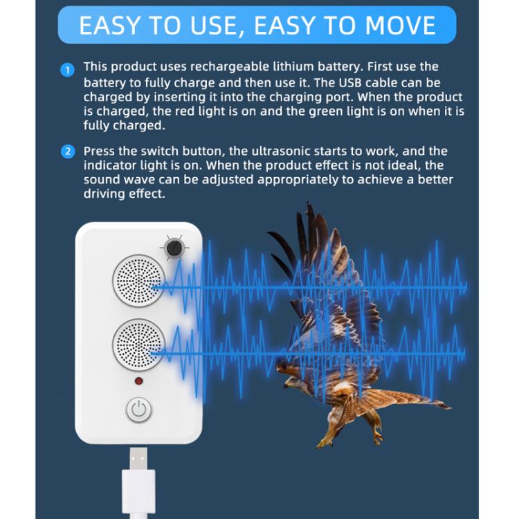 TBD06057755_B3.jpg@b6be3073f94378dd6bfb81d1108f10b1