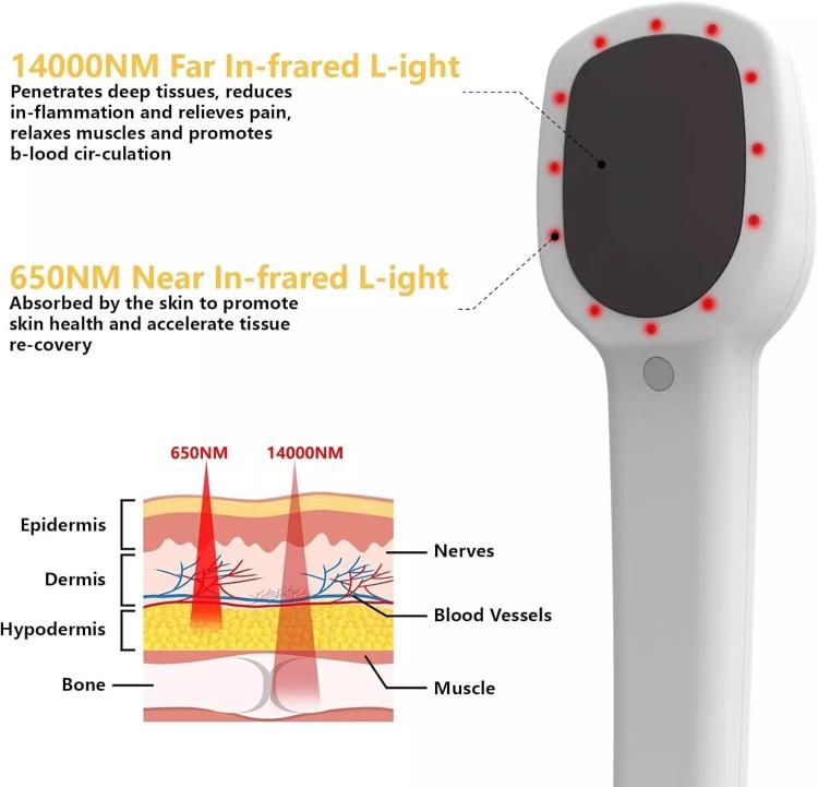 TBD06058419_B3.jpg@2ca01a51240fd0a66c92e0a5568ede16