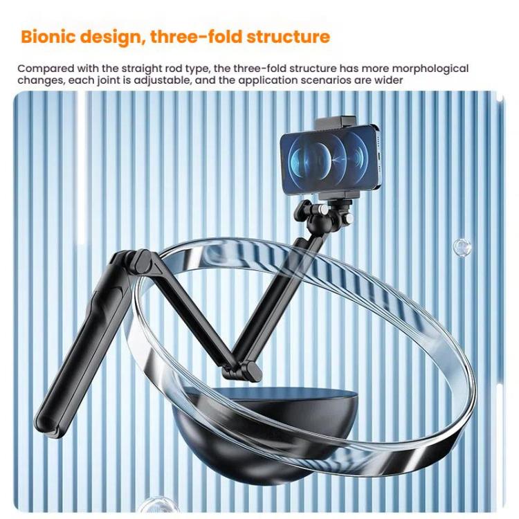 TBD06058773_B3.jpg@d6cbe3d6d4a372bd1f4053fb17473258