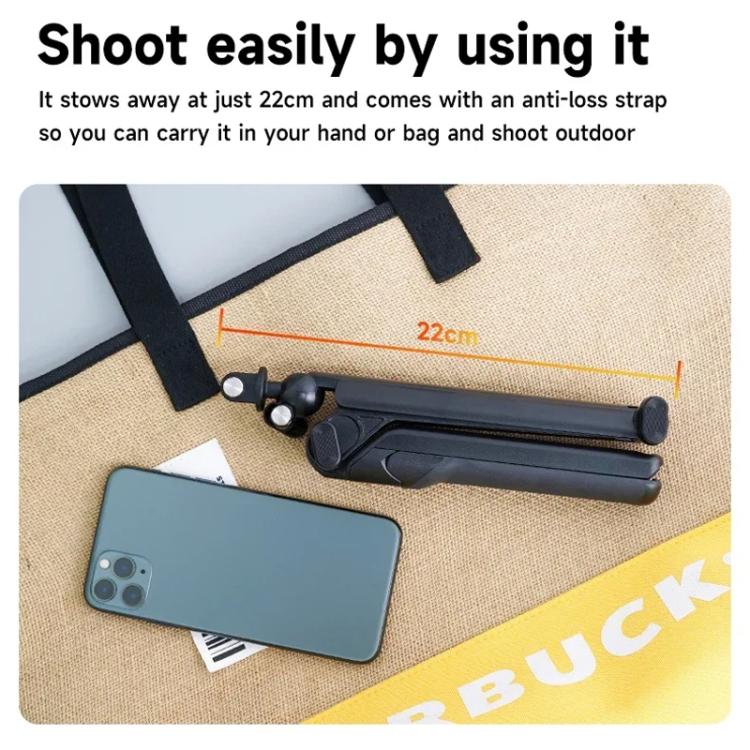 TBD06058773_B9.jpg@67d303ac0da5924a684c6639650d4890