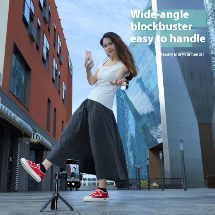 TBD06058786_B10.jpg@c15719bb19ed1fa3ad26c9dc0895cef3