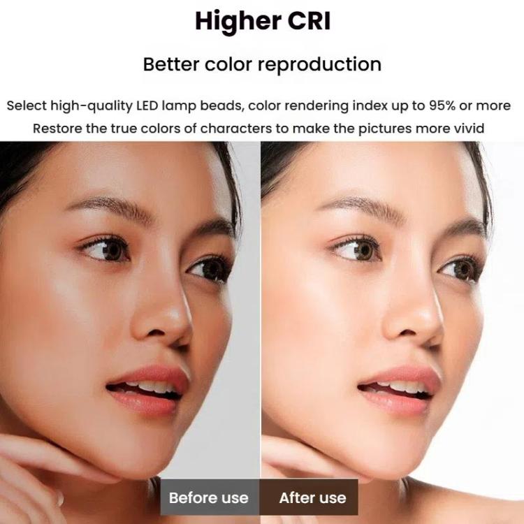 TBD06058832_B6.jpg@105082012f4533a5a374fe22e522fa1e