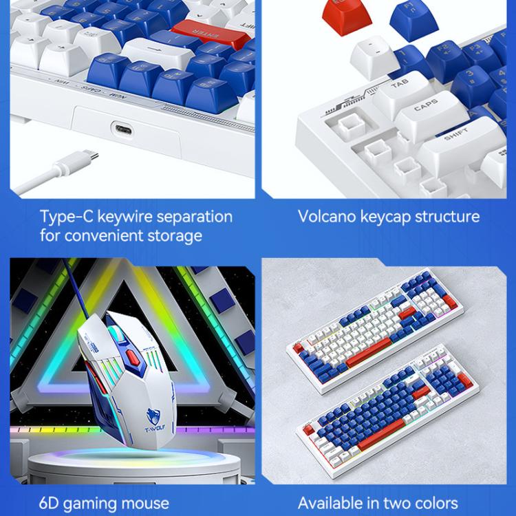 TBD06058919_B7.jpg@d0d72f0cf84e46f15979477027dc4685