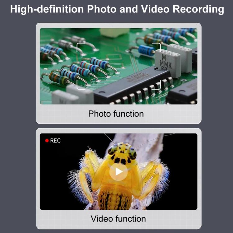 TBD06059517_B7.jpg@0ae624e7b9d1a897d8692c63c00ca862