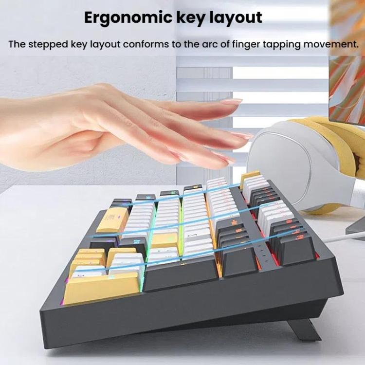 TBD06059928_B1.jpg@26a5d9ff9d51d8ad5160b354c97ec651