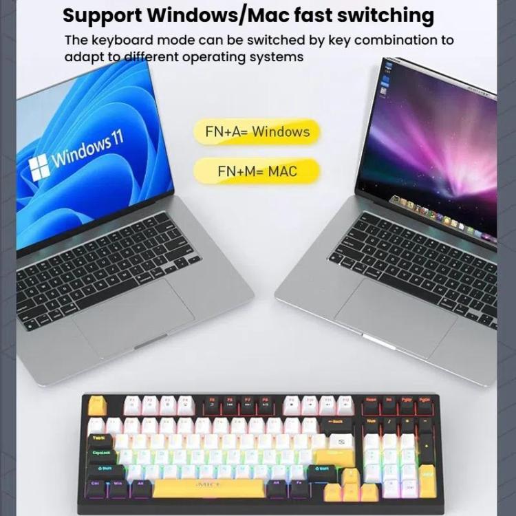 TBD06059928_B4.jpg@cb24f7f8ffb814eada5c1c7fbefaafb5