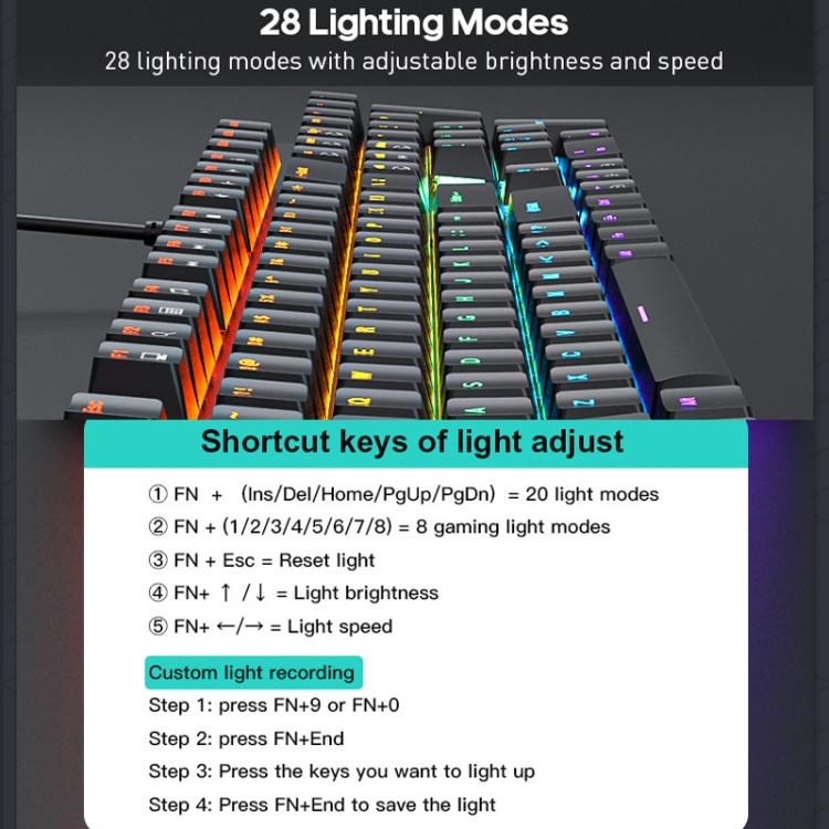 TBD06059958_B3.jpg@ae71cbd1e626b0ea0852c3592197152b