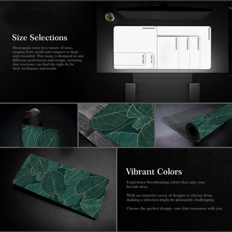 TBD06059963_B2.jpg@3e1e9327c787cdfab5b7b81d9b1b97ed