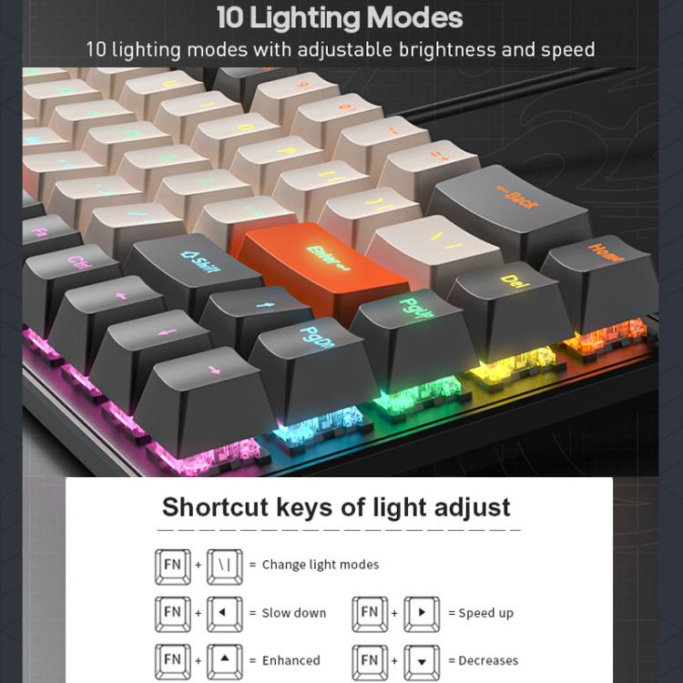 TBD06060019_B3.jpg@2d8b75c0c10c360048d0c29954e178b4