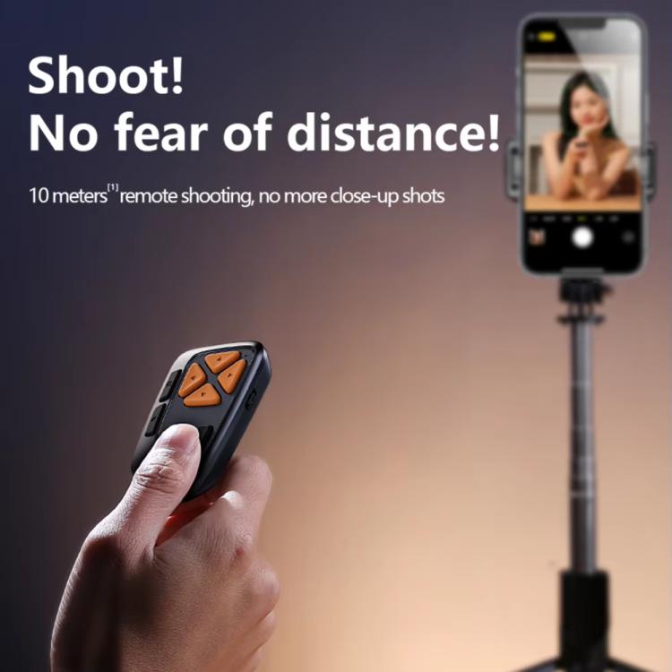 TBD06060183_B2.jpg@3e4371f68f7bc70878a5287a06c42a8c