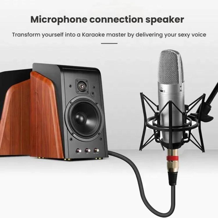 TBD06060234_B7.jpg@624e6c9485790cb6530495568a745928