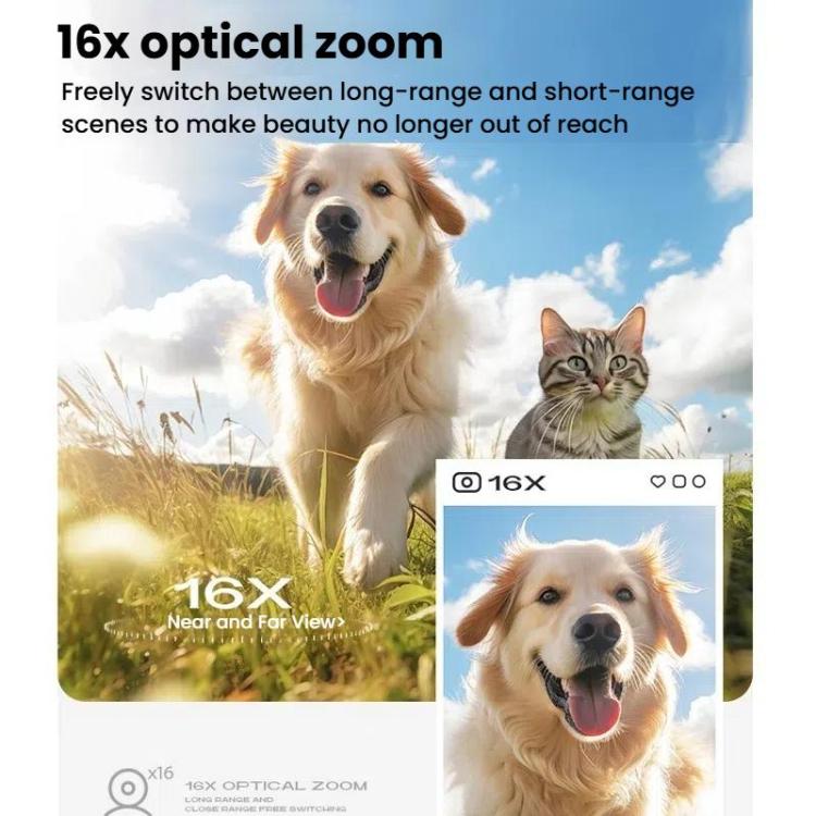 TBD06060553_B9.jpg@b17b831b577b81c696b5c6c0a6a5beba