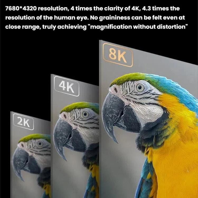 TBD06060628_B2.jpg@d3adc8235463c7a761fd6f0032af446e