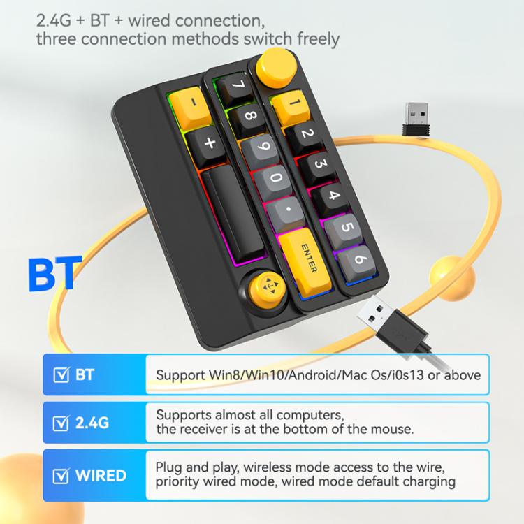 TBD06060852_B3.jpg@c9fb66fb7344a52e67ffaef3cc3650f0