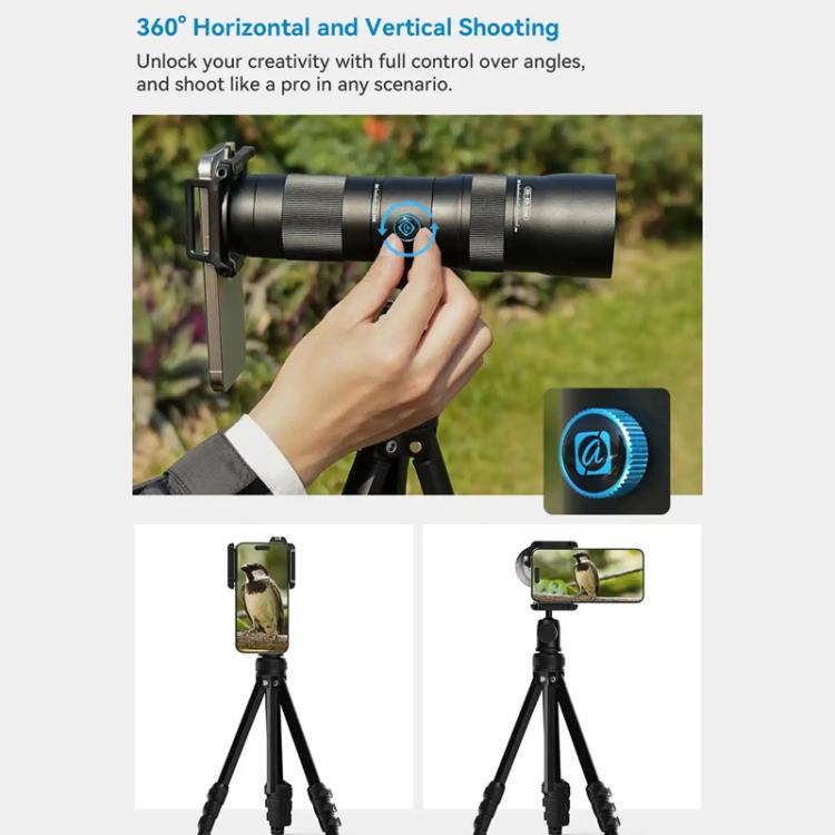 TBD06061079_12.jpg@93f56d8d40287c8adc158175bf6d9bd9