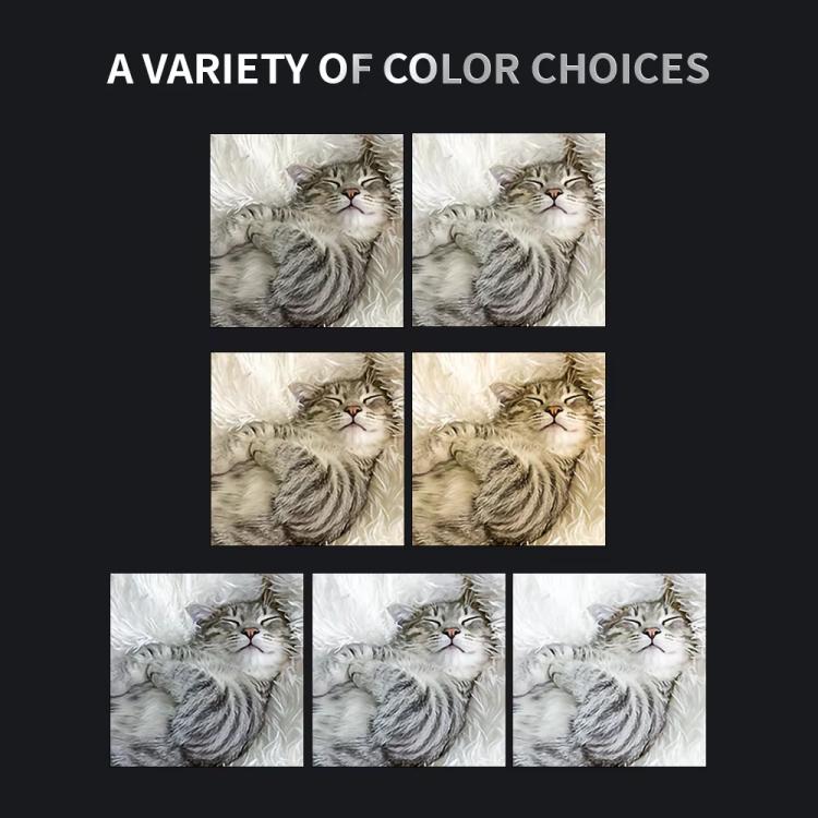 TBD06061167_B3.jpg@509ef9daa583585532396fd29a99838b