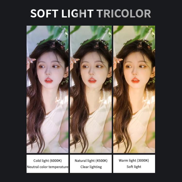 TBD06061167_B4.jpg@e10a7dc28afc25b79ebf7b0db93e5a84