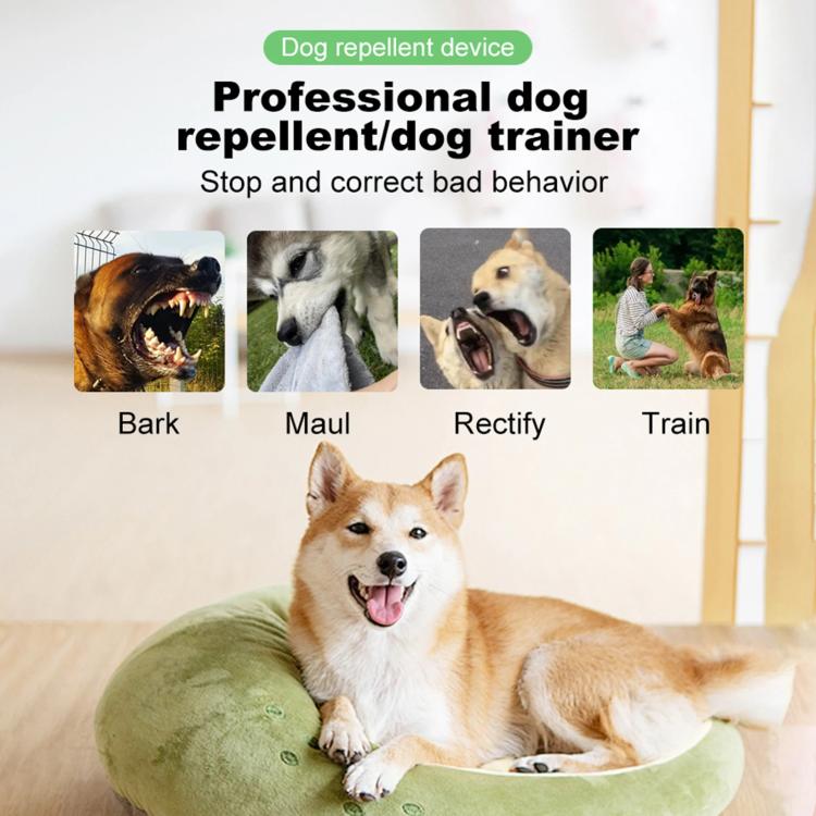 TBD06061297_B2.jpg@ad521e97a86585dd74f21e88ac2720bf