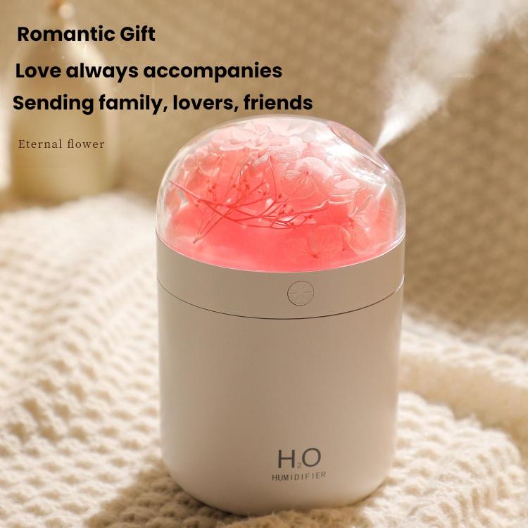 TBD06062233_B5.jpg@176d9e993bbd80550eb0c1e0c85bf9ea