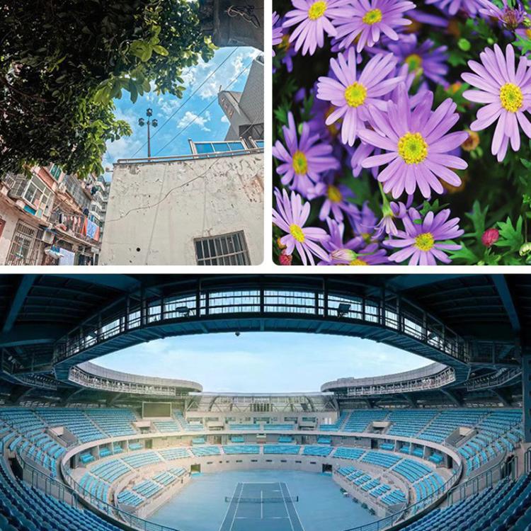 TBD06062294_B4.jpg@3ac68407f692df0f76b753ea3c6b1867