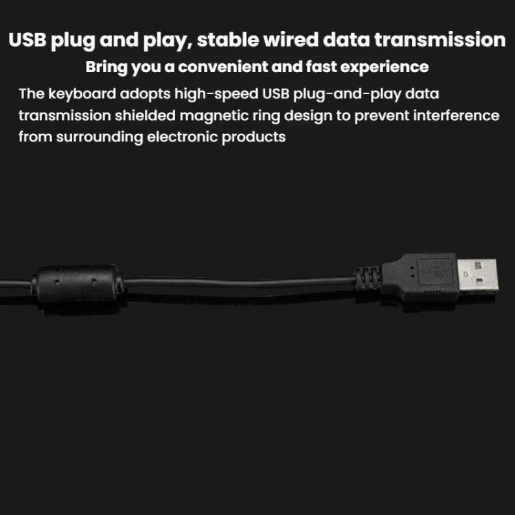 TBD06062727_B5.jpg@4e436dd6f0afda469255ac2e93f7372f