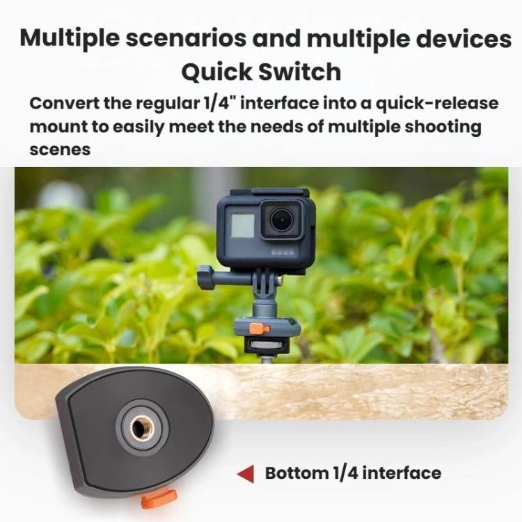 TBD06062844_B3.jpg@35db4406d7540def4e8841b9f4374be2