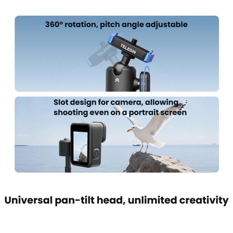 TBD06063030_B6.jpg@ca4cca79ae207fd2c4d2bb3253a7950a