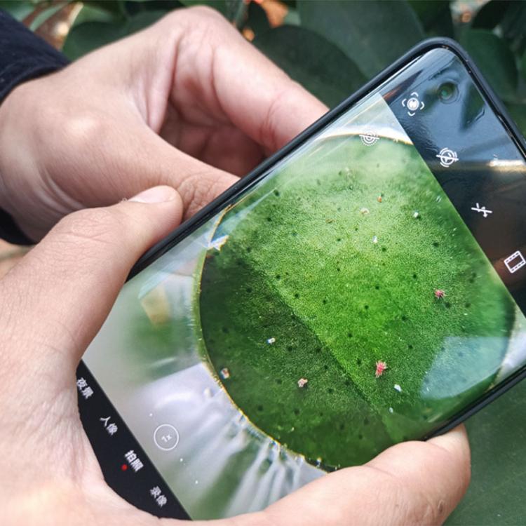 TBD06063088_B4.jpg@64ec0f268927c1b8f8c21642034512fb