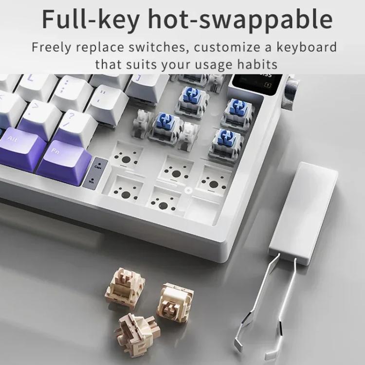 TBD06063333_B9.jpg@89461e3c2208d4db5d0fde90e272b321