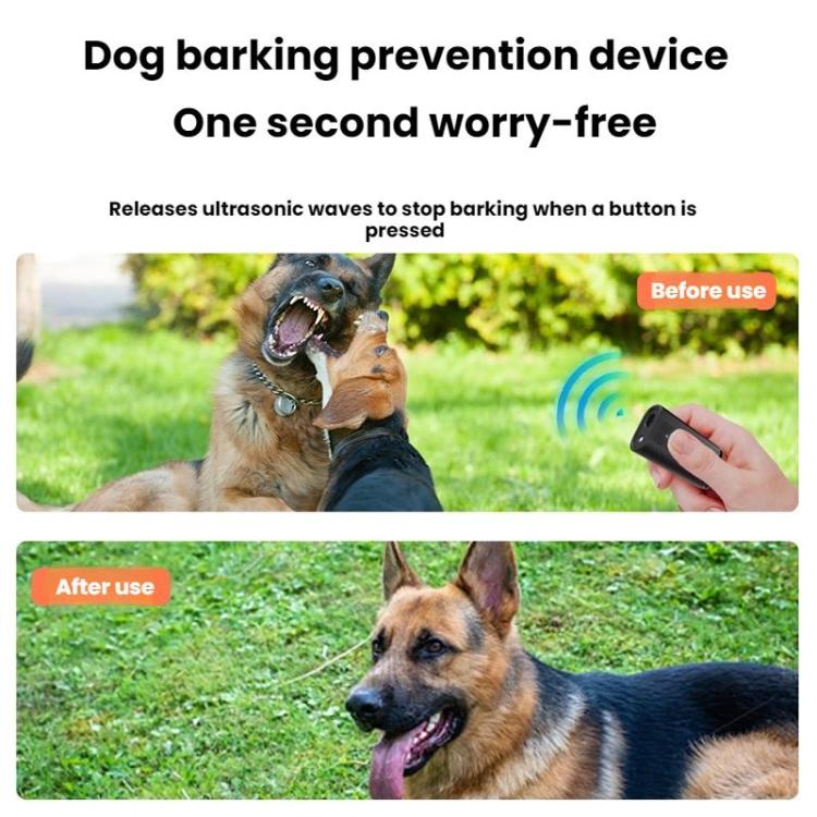 TBD06063456_B6.jpg@8938565c7bfdc49921c23a299b23c3f6