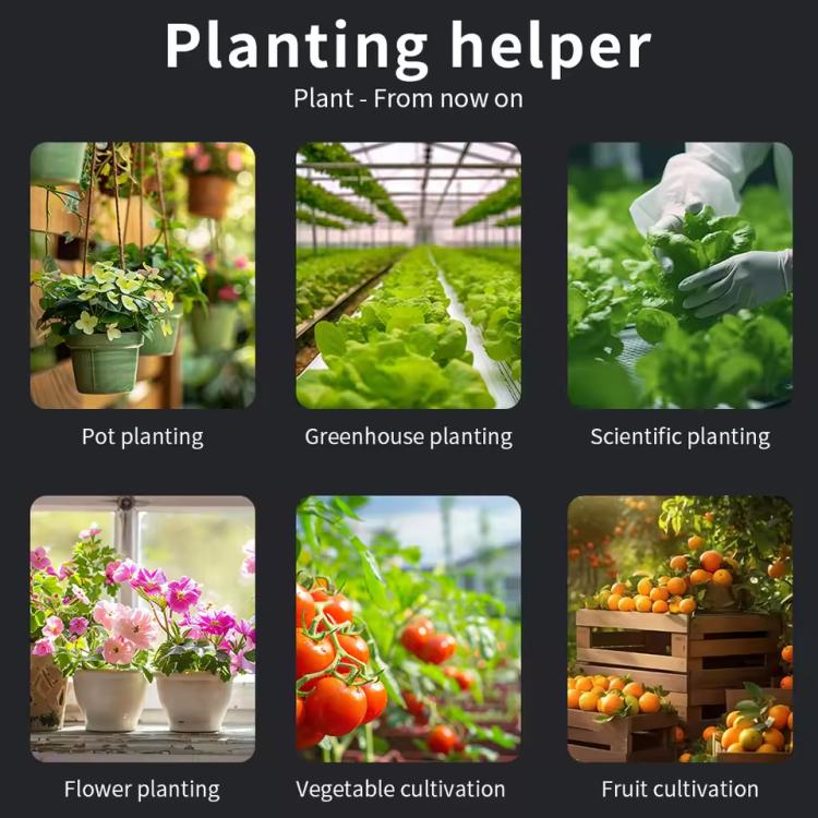 TBD06064121_B5.jpg@abc6f6e58d7819f341a0467e1f7b4048