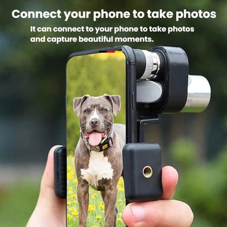 TBD06064240_B2.jpg@1d85c87d944b617f74621396c67a8965