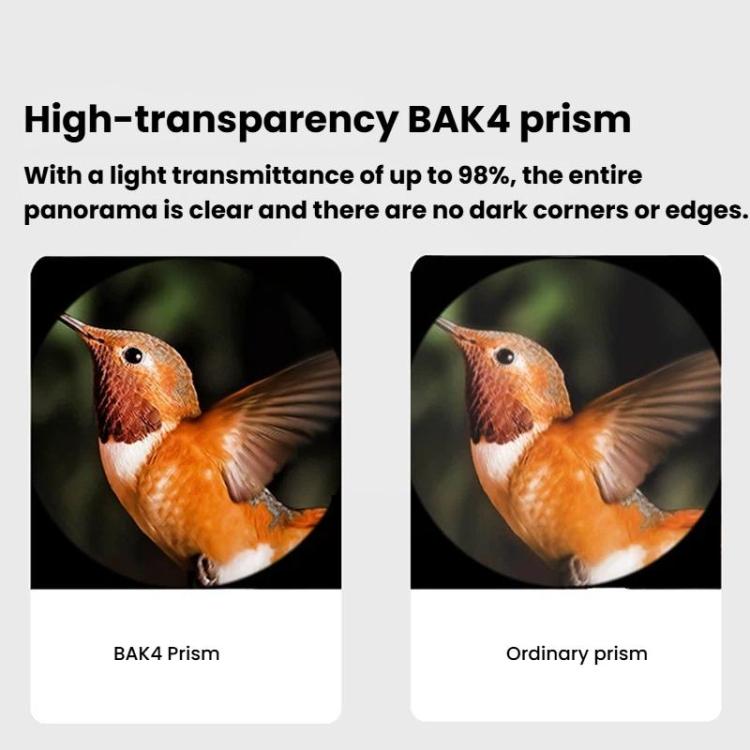 TBD06064243_B4.jpg@27100f8843e5c7ec3d1ad358bdf7dc2d