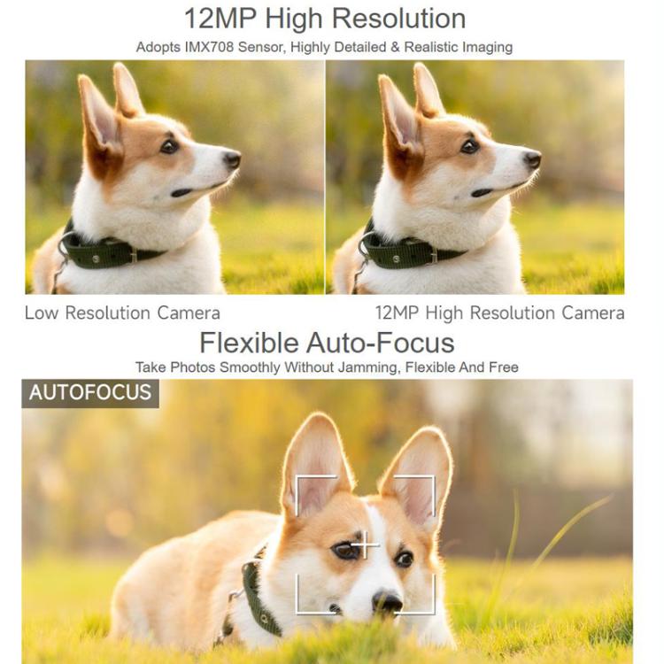 TBD06064456_B3.jpg@ae4d2a5352e8caf2d7c1d908301cd1b1